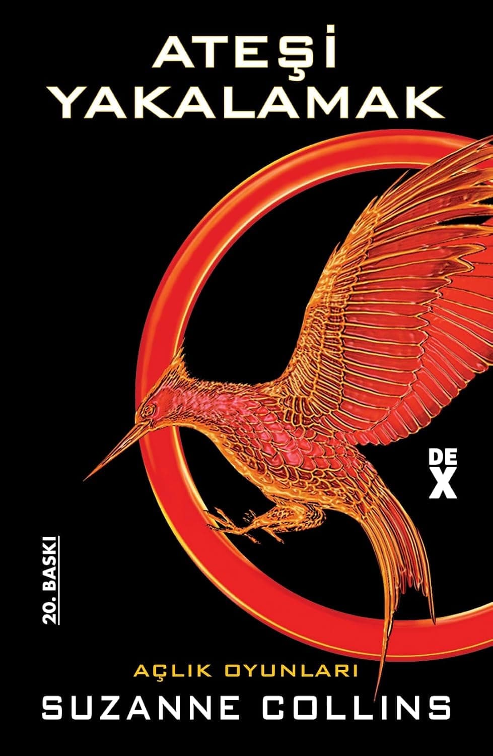 Cover of Catching Fire