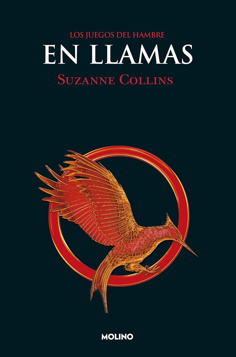 Cover of Catching Fire