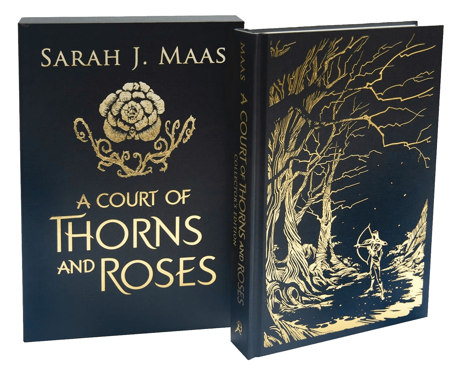 Cover of A Court of Thorns and Roses