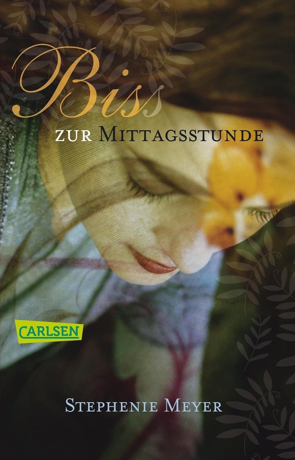 Cover of New Moon
