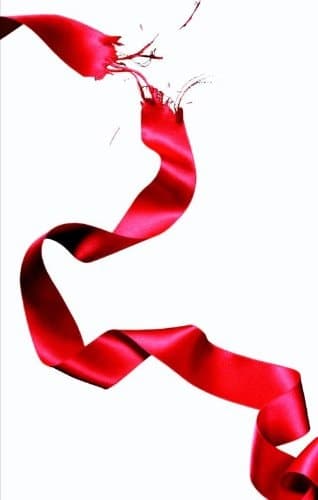 Cover of Eclipse