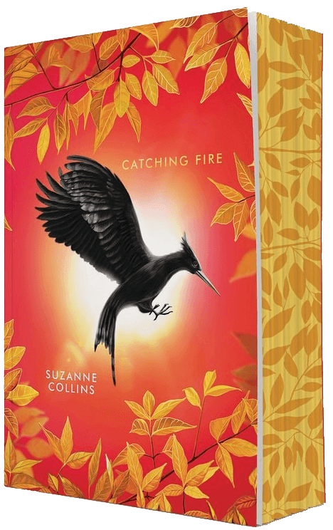 Cover of Catching Fire