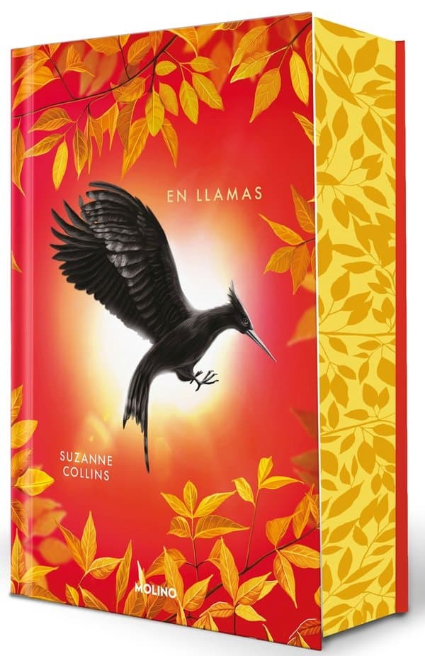 Cover of En llamas
