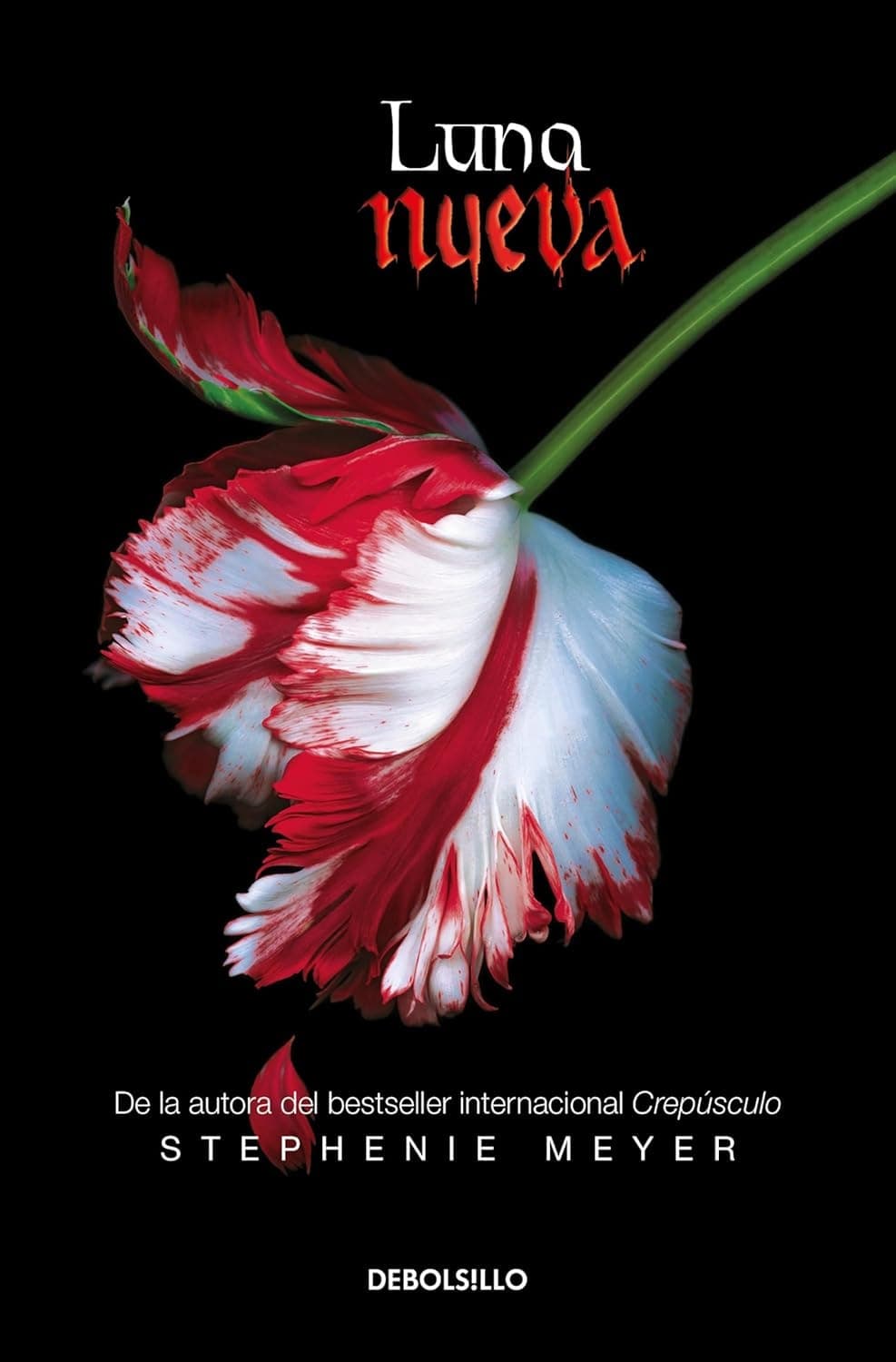 Cover of New Moon