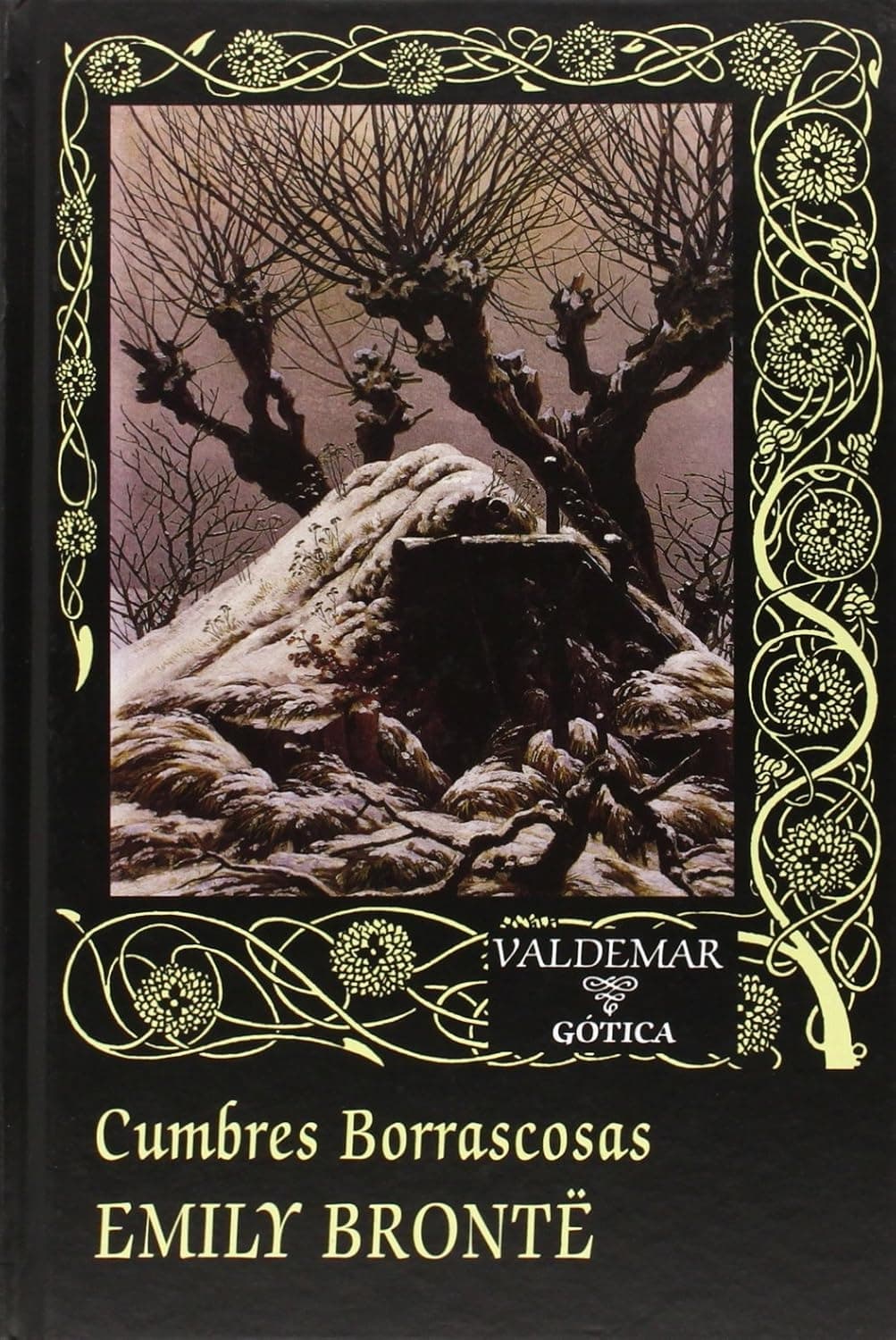 Cover of Cumbres borrascosas