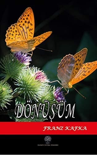 Cover of Metamorphosis (2020) – Platanus Publishing