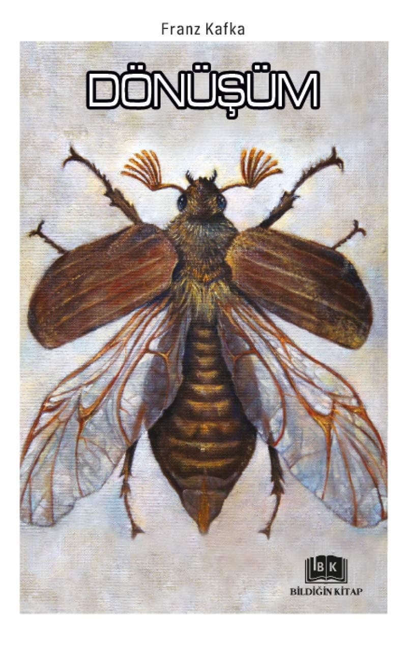Cover of Metamorphosis (2018) – Bildigin Kitap