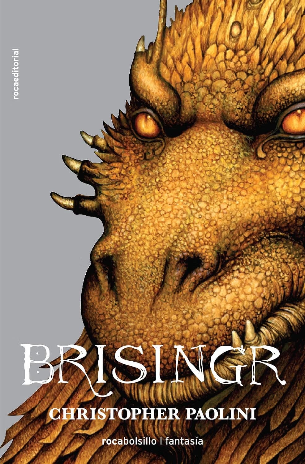 Cover of Brisingr