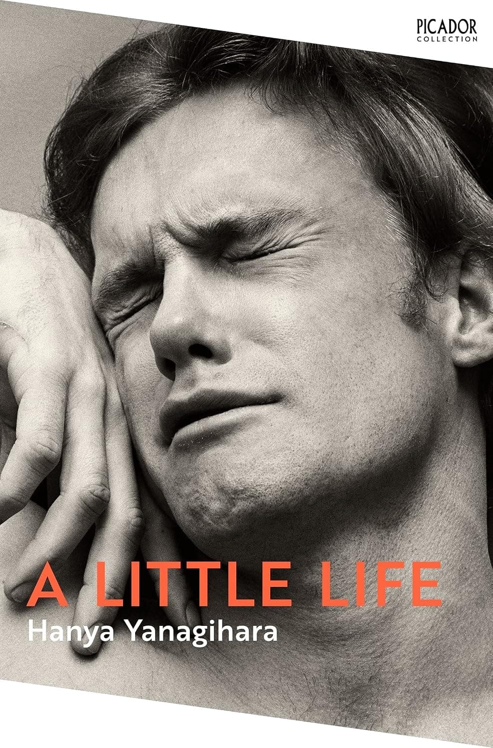 Cover of A Little Life (2022) – Pan Macmillan