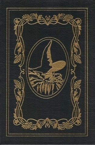 Cover of Wicked