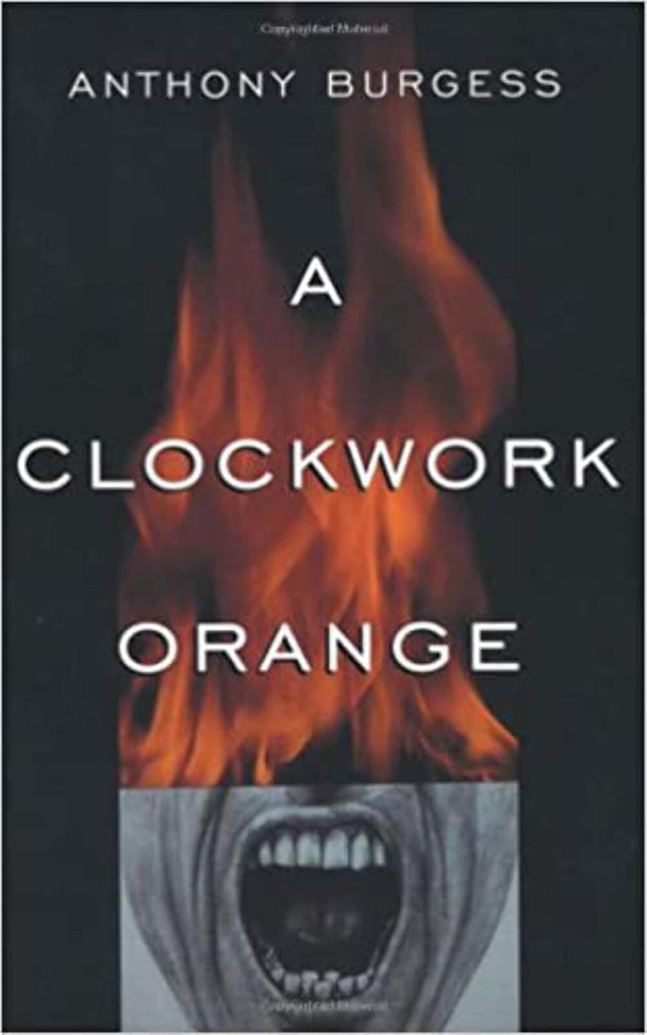 Cover of A Clockwork Orange (1989) – W. W. Norton & Company