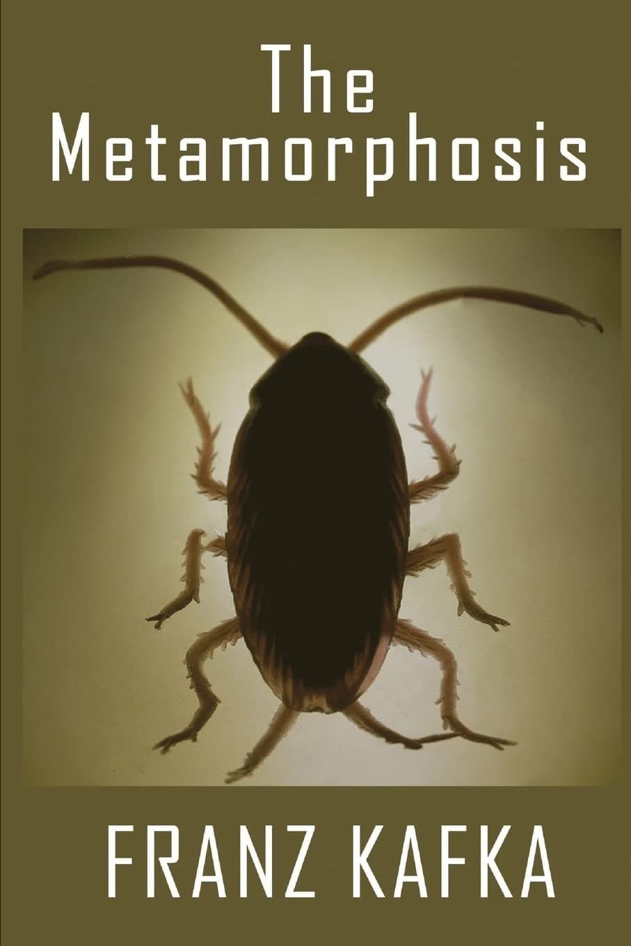 Cover of Metamorphosis (2018) – Independently Published