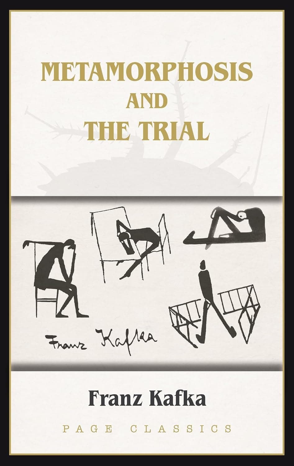 Cover of Metamorphosis (2024) – Page Publications