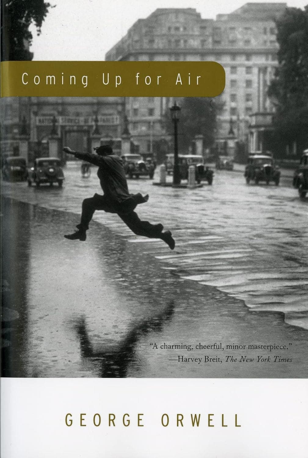 Cover of Coming Up for Air (1984) – Harcourt Brace