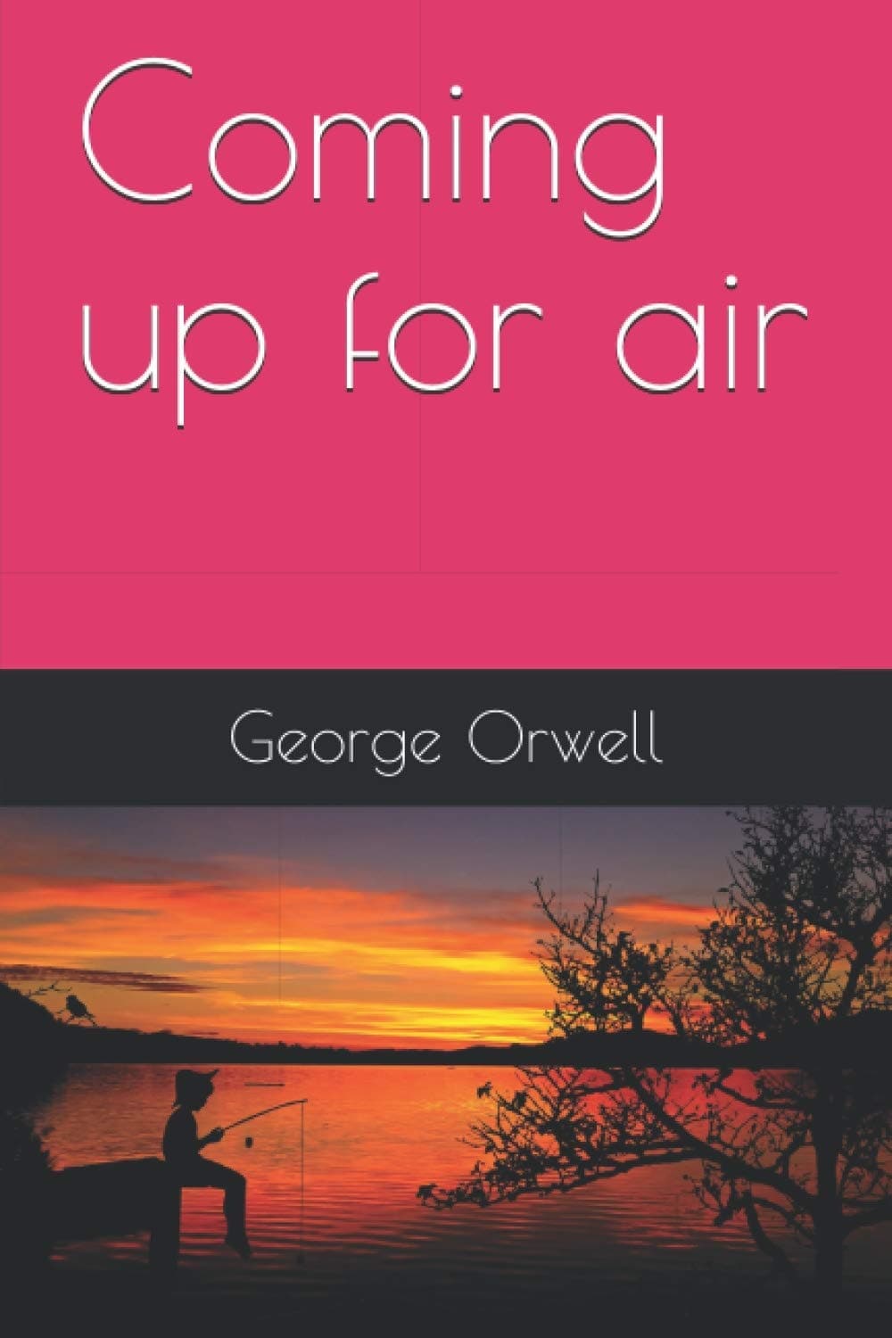 Cover of Coming Up for Air (2020) – Independently Published