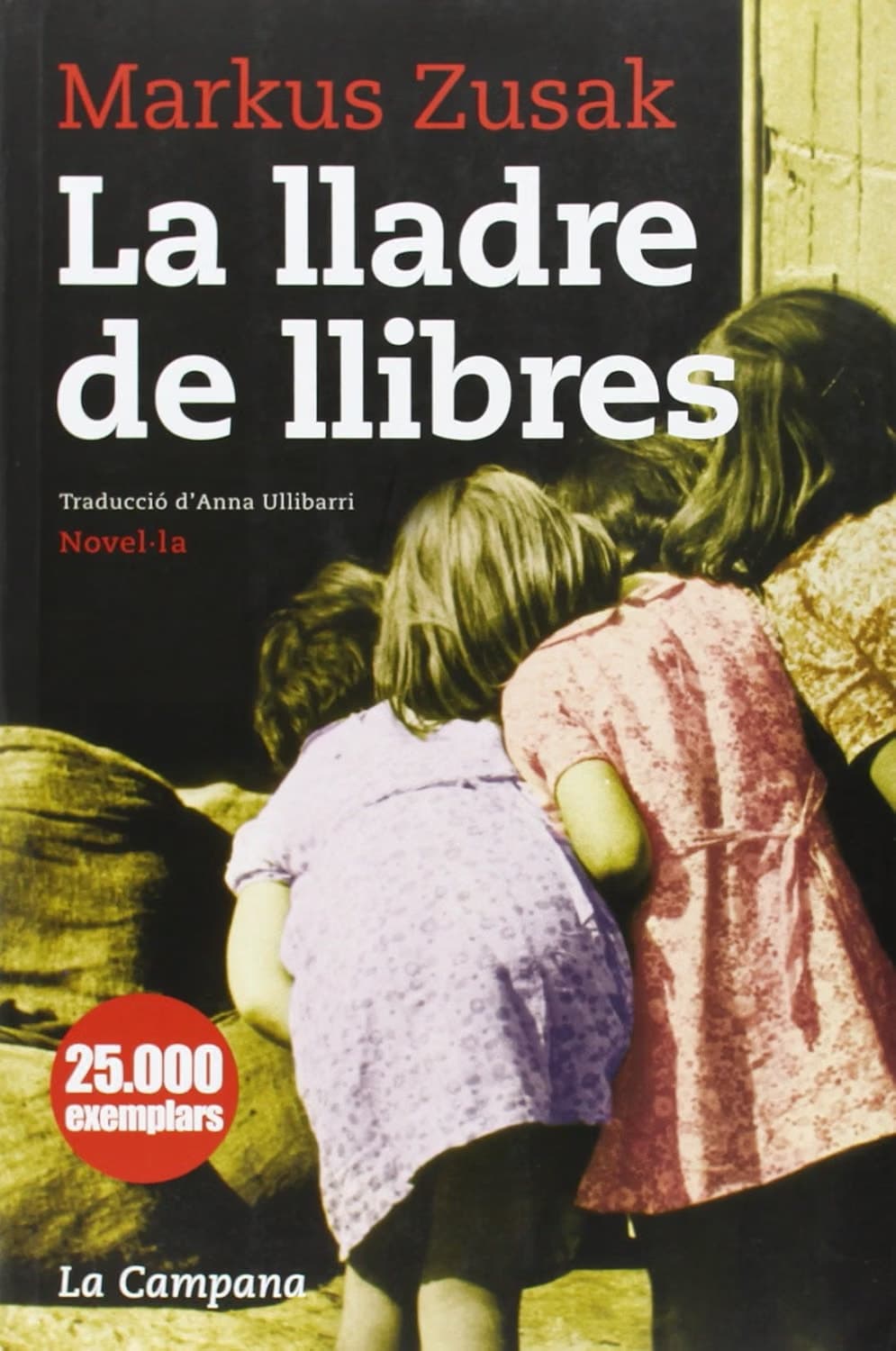 Cover of The Book Thief