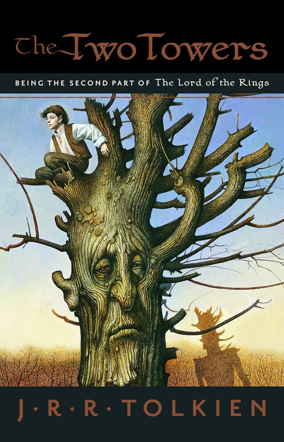 Cover of The Two Towers (2005) – Houghton Mifflin Company